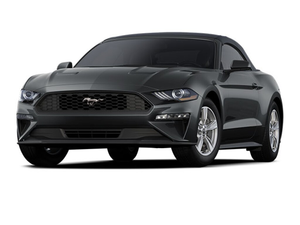 Used 2022 Ford Mustang Ecoboost Premium For Sale in Pompano Beach FL Serving Miami VIN